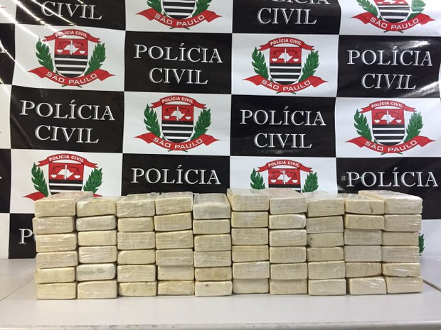 Droga foi apreendida pela Polícia Civil (Foto: Divulgação/Polícia Civil).