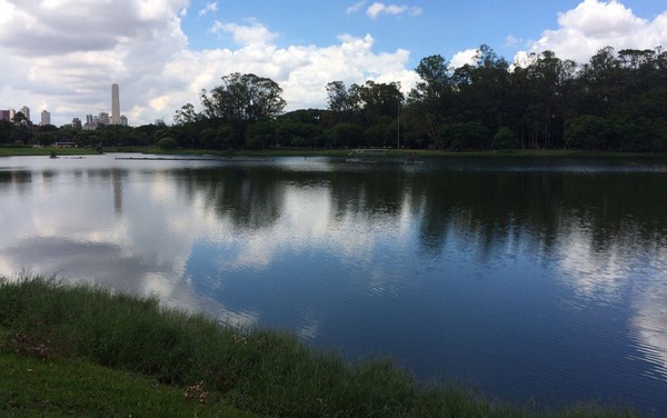 Corpo de bebê apareceu boiando no lago do Parque Ibirapuera na manhã desta segunda-feira (27), na Zona Sul de São Paulo, informaram policiais do 27º distrito policial do Campo Belo (Foto: Will Soares/G1)