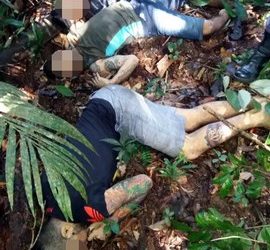 Um total de cinco detentos foram mortos a tiros depois de fugirem do sistema prisional. Foto: PortalCM7.com
