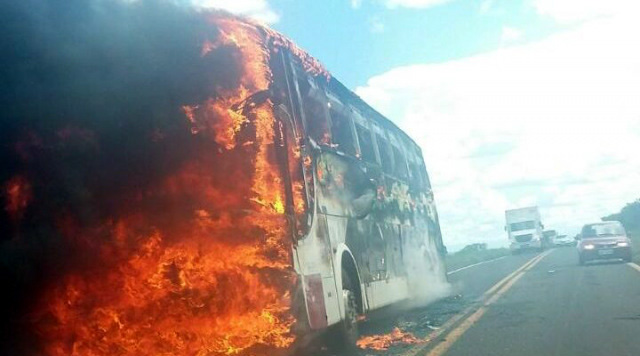 Incidente aconteceu na BR-060. (Foto: Reprodução/ rede social).