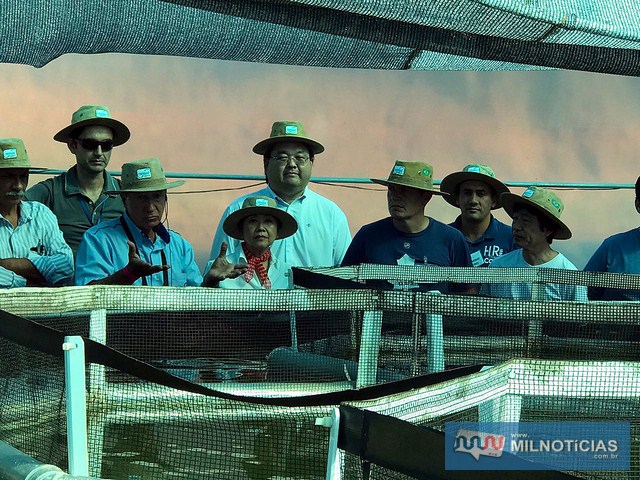 Tamiko, com Jamil, Fernando Magno e Makoto buscam soluções tecnológicas para fomentar um arranjo produtivo local e regional na área da criação de peixes voltada aos assentamentos da região. Foto: Secom/ Prefeitura