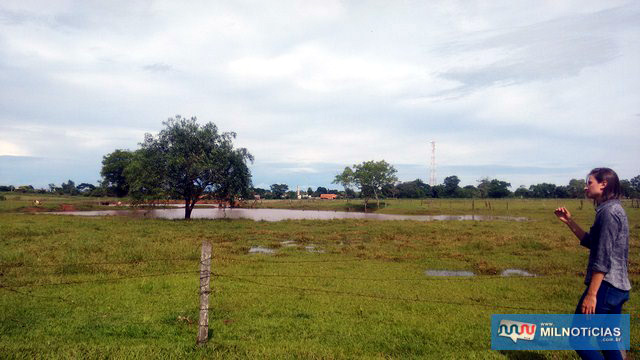 Terreno desapropriado para obras anti-enchente. Foto: Assessoria de Comunicação