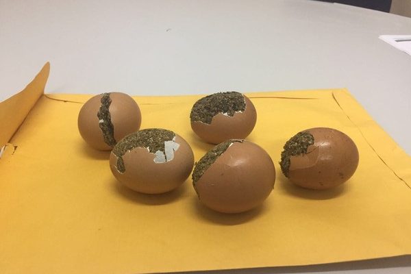 Homem entregaria ovos para amigo, diz Seap (Foto: Divulgação/Seap)