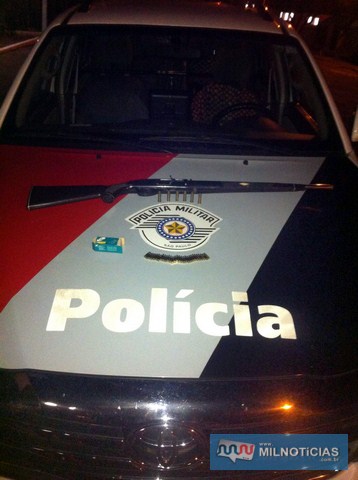 Foram localizadas e apreendidas 29 munições calibre .22mm, 6 de calibre .38mm e uma espingarda calibre .22. Foto: DIVULGAÇÃO/PM
