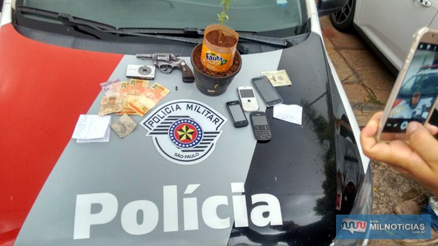 Foram apreendidos um pé de maconha, um revólver calibre .38mm e celulares. Foto: DIVULGAÇÃO/PM