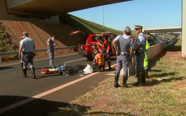 Agente penitenciário morre após cair de viaduto em rodovia em Ribeirão Preto (SP) (Foto: Ronaldo Gomes/EPTV).
