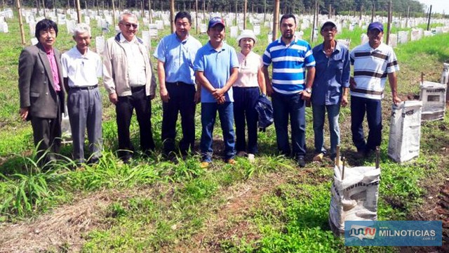 Tamiko conhece técnica japonesa bokashi mundialmente conhecida por ser um excelente fertilizante natural. Foto: Secom/ Prefeitura