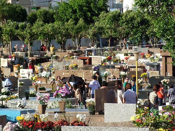 Policia Civil investiga venda indiscriminada de túmulos em Andradina. Foto: Prefeitura Andradina/Google