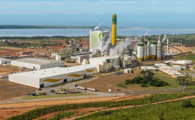 Fábrica de celulose em Três Lagoas foi vendida para grupo holandês(Foto: Divulgação)
