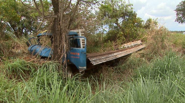 Motorista morreu após caminhão bater em árvore na Rodovia Altino Arantes, em Altinópolis (Foto: Ronaldo Gomes/Oliveira).