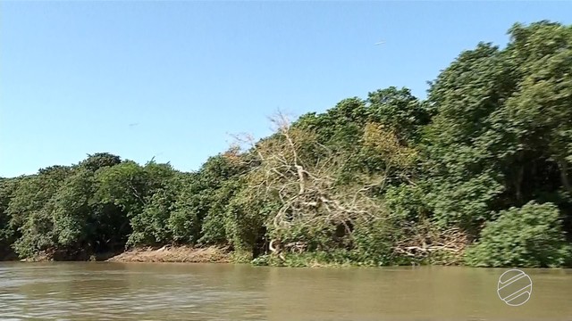 ovem de 25 anos teria desaparecido na noite de domingo no rio Paraguai-Mirim, em Corumbá (MS) (Foto: Reprodução/TV Morena).