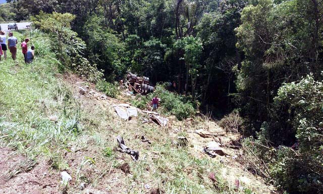 Caminhão carregado com soja caiu em uma ribanceira na BR-153, em União da Vitória. (Foto: Polícia Rodoviária Federal/Divulgação)