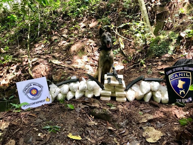 Cães da PM acharam material que aparenta ser cocaína e pasta base, além de carregadores de armas municiados em sítio de Mogi das Cruzes (Foto: Polícia Militar/Divulgação).