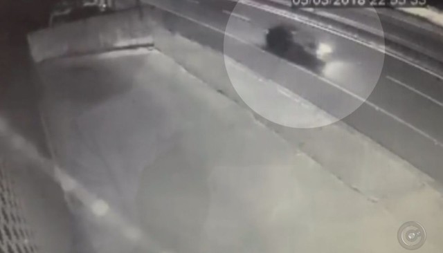 Câmeras flagraram o motorista envolvido no acidente em Marília (Foto: TV TEM / Reprodução ).