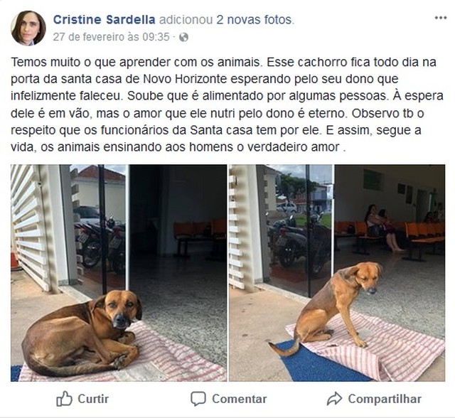 Postagem feita pela Cristine Sardella que foi ao hospital e se comoveu com a lealdade do cão (Foto: Reprodução/Facebook).