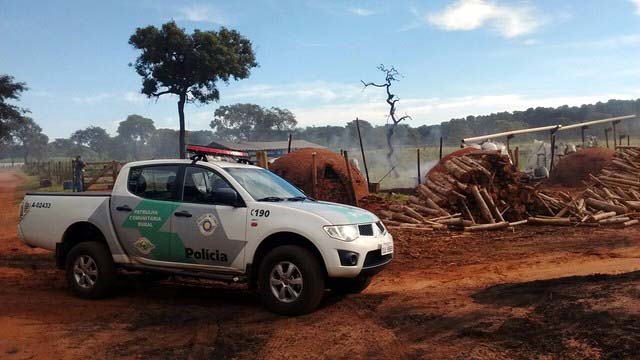 Foram apreendidos cerca de 8,9 mil quilos de carvão produzido ilegalmente (Foto: Polícia Ambiental/Divulgação )