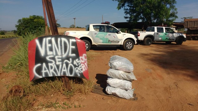 Carga foi encontrada em um comércio irregular em Castilho (SP) (Foto: PolÃcia Ambiental/ Divulgação)