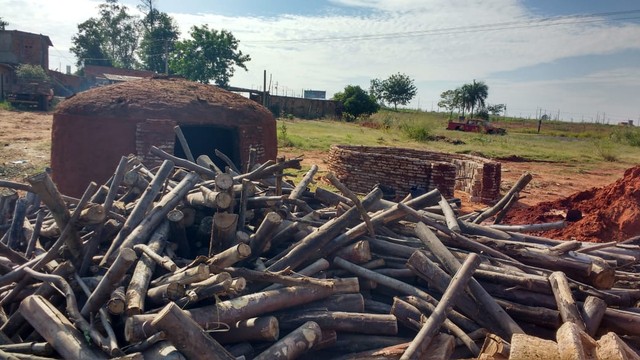 Cerca de uma tonelada de carvão vegetal foi apreendida nesta sexta-feira (20) durante uma operação da PolÃcia Ambiental, em Castilho (SP). (Foto: PolÃcia Ambiental/TV TEM)