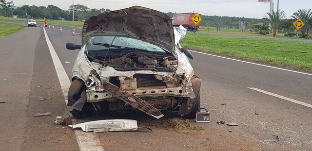 Idoso morreu durante capotamento em rodovia de Castilho (SP) (Foto: Paparazzi News/Divulgação)