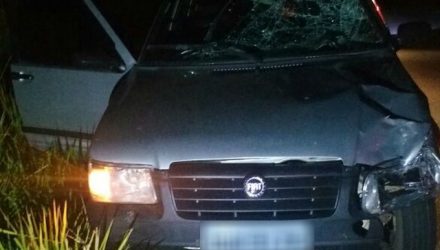 Carro que atropelou homem de 56 anos no acostamento ficou com as marcas da batida na lataria e no para-brisa (Foto: João Trentini).