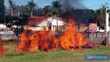 Mais de 2,5 hectares de pastagens foram consumidas pelo grande incêndio na tarde da última terça-feira (22). Fotos: MANOEL MESSIAS/Agência
