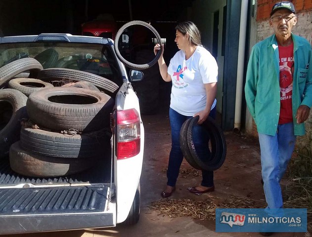 Durante a primeira etapa da campanha centenas de pneus usados já foram recolhidos. Foto: Assessoria de Comunicação