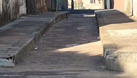 Homem foi baleado nesta quarta-feira (20), no Jardim Brasil Novo (Foto: Valmir Custódio/G1).