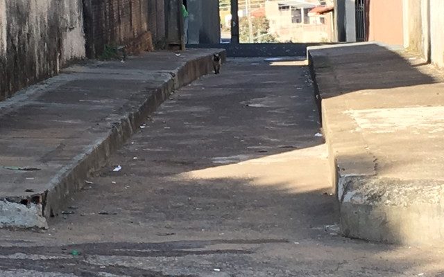 Homem foi baleado nesta quarta-feira (20), no Jardim Brasil Novo (Foto: Valmir Custódio/G1).