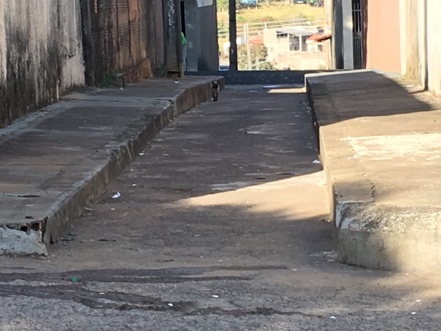 Homem foi baleado nesta quarta-feira (20), no Jardim Brasil Novo (Foto: Valmir Custódio/G1).