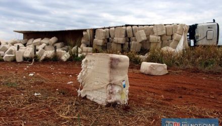 Carga se espalhou pelo acostamento e até para dentro de uma plantação de cana. Foto: MANOEL MESSIAS/aGÊNCIA