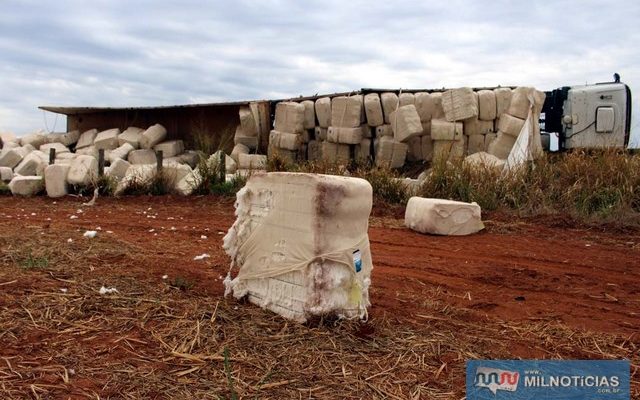 Carga se espalhou pelo acostamento e até para dentro de uma plantação de cana. Foto: MANOEL MESSIAS/aGÊNCIA