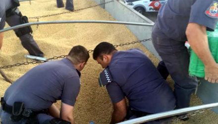 Droga estava escondida entre a carga de soja em Mirassol (SP) (Foto: Polícia Rodoviária/Divulgação)