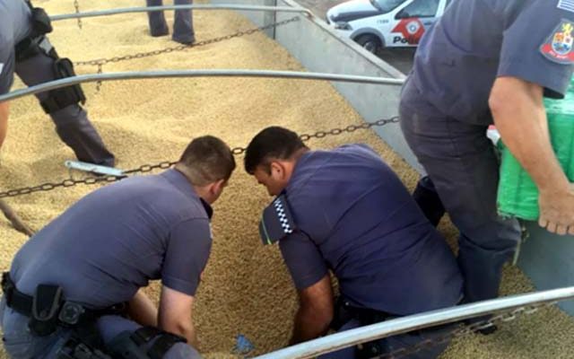 Droga estava escondida entre a carga de soja em Mirassol (SP) (Foto: Polícia Rodoviária/Divulgação)