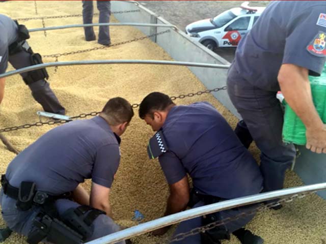 Droga estava escondida entre a carga de soja em Mirassol (SP) (Foto: Polícia Rodoviária/Divulgação)