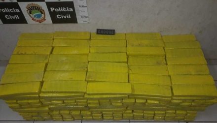 Droga foi levada para a Delegacia Especializada de Repressão ao Narcotráfico (Denar) (Foto: Denar / Divulgação ).