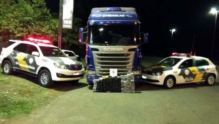 Quase 200 quilos de cocaína foram apreendidos em Rosana (Foto: Cedida/Polícia Militar Rodoviária)