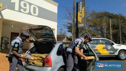 Foram localizados 250 quilos de maconha e pouco mais de 4 quilos de haxixe. Foto: DIVULGAÇÃO