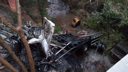 Caminhão caiu em um barranco após bater no guard-rail (Foto: Cesar Evaristo/TV TEM).