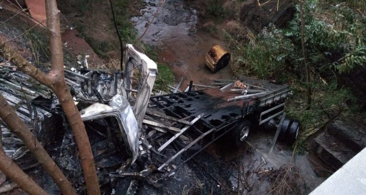 Caminhão caiu em um barranco após bater no guard-rail (Foto: Cesar Evaristo/TV TEM).