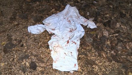 camiseta sangue