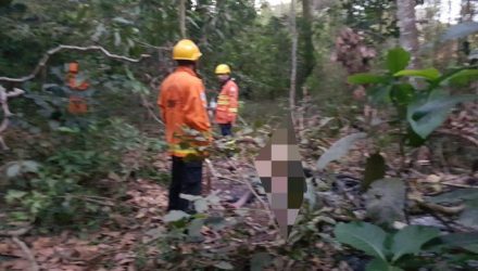 Bombeiros foram chaamados para apagar fogo em corpo encontrado em Taguatinga (Foto: CBMDF/Divulgação).