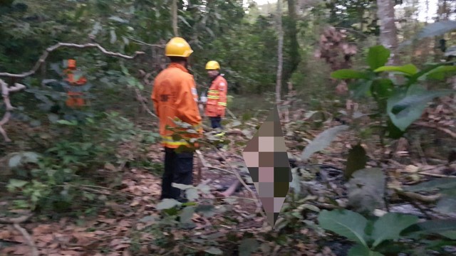 Bombeiros foram chaamados para apagar fogo em corpo encontrado em Taguatinga (Foto: CBMDF/Divulgação).