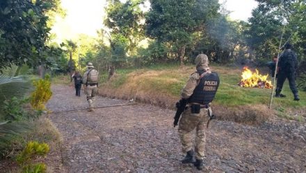 Forças policiais realizam operação em Angra dos Reis nesta sexta-feira; na noite anterior, suspeitos morreram e policiais foram baleados durante operação do Bope na cidade (Foto: Polícia Civil/Divulgação).