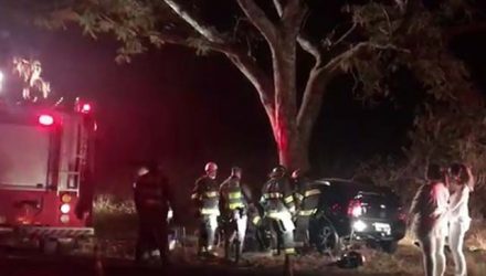 Motorista morre depois de bater carro contra árvore em Pedregulho (Foto: Reprodução/EPTV).