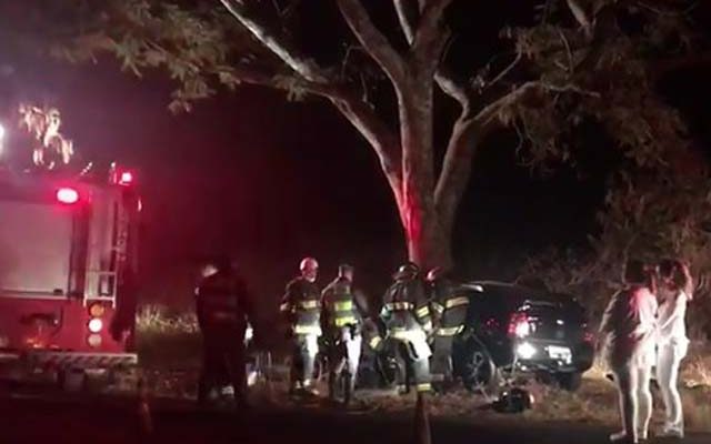 Motorista morre depois de bater carro contra árvore em Pedregulho (Foto: Reprodução/EPTV).