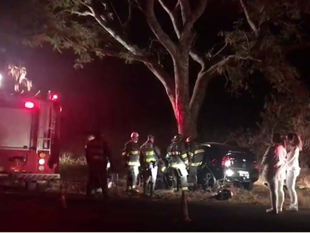 Motorista morre depois de bater carro contra árvore em Pedregulho (Foto: Reprodução/EPTV).