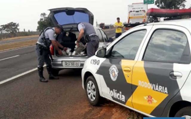 Abordagem policial aconteceu no KM 772 da rodovia Marechal 
Rondon, próximo da divisa SP/MS. Foto: DIVULGAÇÃO