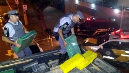 Droga estava escondida em um fundo falso de um caminhão boiadeiro. Foto: DIVULGAÇÃO