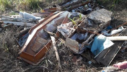 Caixões são descartados em área de mata em Ilha Solteira — Foto: Douglas Cossi/ilhadenoticias