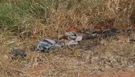 Investigações indicam que o crime pode ter sido premeditado, diz a polícia — Foto: TV TEM/Reprodução.